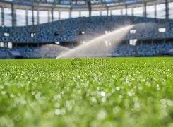 沙奇里双响,助巴塞尔,力克布加勒,ManBetX,万博体育,ManBetX官网,万博体育官网,万博体育app