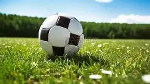 万博体育 资讯 095758 qgg