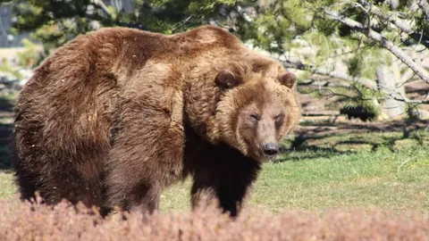 乌兹球员胡桑诺夫3500万欧转会费创亚洲新高，位列亚洲球员身价排行榜第四名