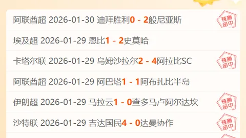 “巨资信贷扶持小微企业，融资协调加速推进成效显著”