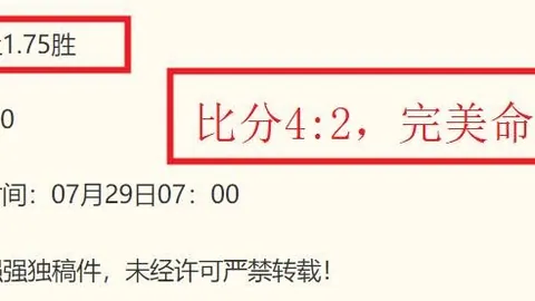 蒋圣龙缺席，申花防守难题揭晓：马莱莱防线谁能挺身而出